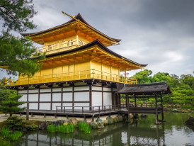 City Unscripted article image