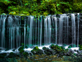 The Shiraito waterfall 