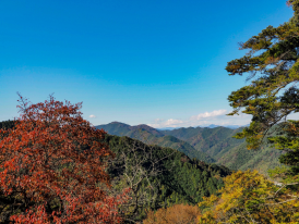 View of the Takao-San mountain range