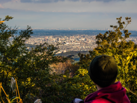 Person observing the city from a hiking trail in Takao-