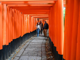 Book a private Kyoto tour to see the best of Kyoto