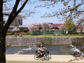 Why to bike in Kyoto