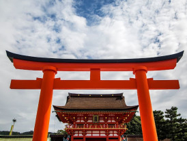 Explore the wonders of Fushimi Inari