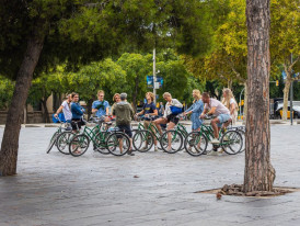 Group bike tours, Kyoto