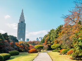 Private Tokyo tours allow you to explore more