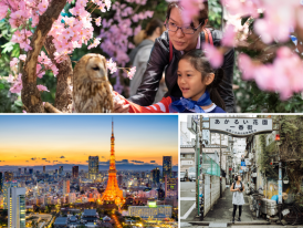 family admiring an owl, Tokyo city, lady standing under