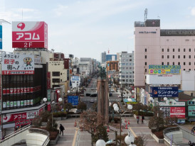 A day trip filled with cultural immersion for food enth