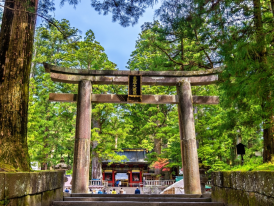 Torii gate in Nikko