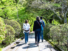 Tourists exploring the park