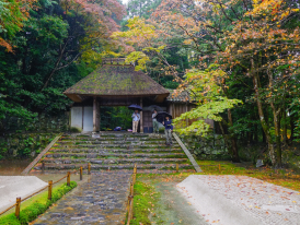 Honen-in Temple, Japan