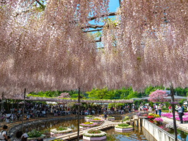 A day trip that is a haven for nature enthusiasts. 