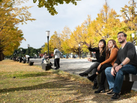 Famous for its beautiful foliage