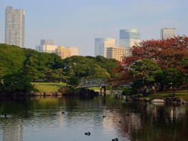 Hamarikyu Gardens is a serene oasis in the bustling cit
