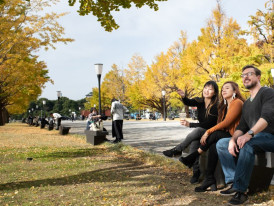 Explore with Tokyo tours that are led by a local guide