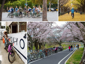 Exploring Tokyo's Hidden Gems on Two Wheels: A Guide to