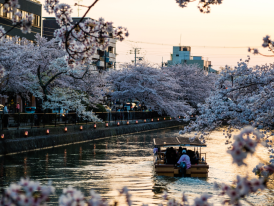 Themed parks and historical places in Tokyo and aroud