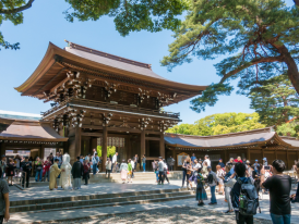 Join your private guide in Tokyo and learn the sights o