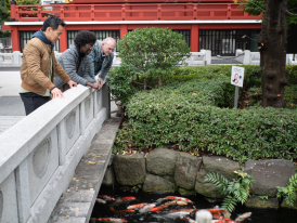 Visit Akasura by walking with your local host inTokyo