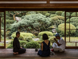 The serene world of the Japanese tea ceremony