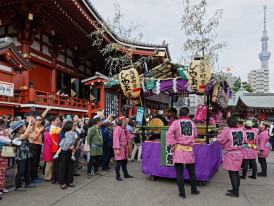 Local festival during Japan sakura season
