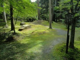 Affordable hiking adventures out of Tokyo with City Uns