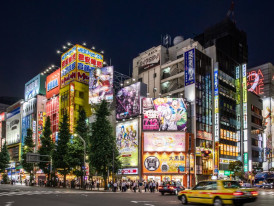 Known as Tokyo's Electric Town