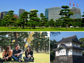 The East Gardens are a testament to Japan's rich histor