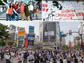 An excellent spot for photos 