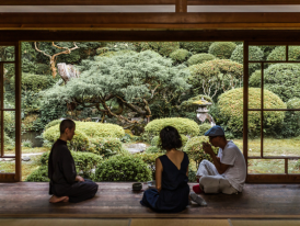 Explore the beauty of Hakone and beyond.
