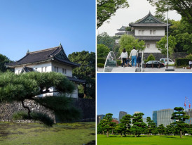 Explore the Imperial Palace