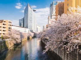 Artsy vibes by the river