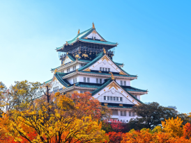 Winter near the Osaka Castle in Japan