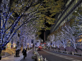 Dive into Christmas time to visit Tokyo