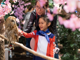 Tokyo's gardens in late March