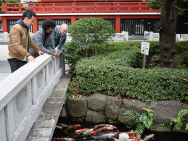 Tourists enjoying a daytime in Tokyo