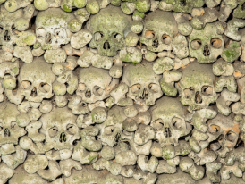 City Unscripted article image