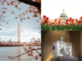 From Breakfast to Blossoms: Washington DC Itinerary