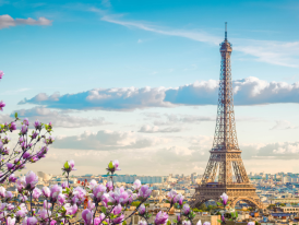 Parisian Springtime in Half a Day