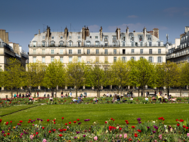 Jardin des Tuileries