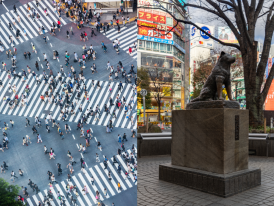 Shibuya Scramble Crossing and Hachiko