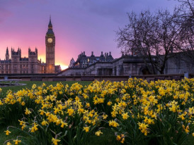 Bread and butter pudding