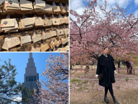 New buildings keep popping up