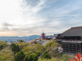 Bird's eye view opportunities for best viewing experien