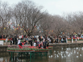 Crowds at Tenjin Matsuri along the river. Image by Haoli Chen from Unsplash