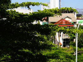 Rooftop garden with city skyline backdrop. Image by Ivy Dao from Unsplash