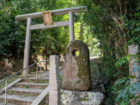 Stone path leading to Tomb of the Nue, surrounded by foliage. Image by David Emrich from Unsplash