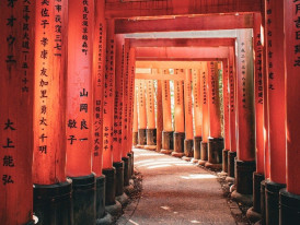 A near-empty Sumiyoshi Taisha shrine in early December with autumn colors. Image by Katharina Michels from Pixabay