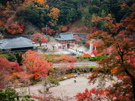 Photo by Satoshi Hirayama, Pexels