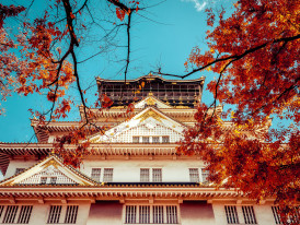 Photo by Dawn Lio, Pex