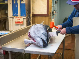 Animated vendor at Kuromon Market demonstrating fresh tuna cutting techniques Photo by Kindel Media pexels